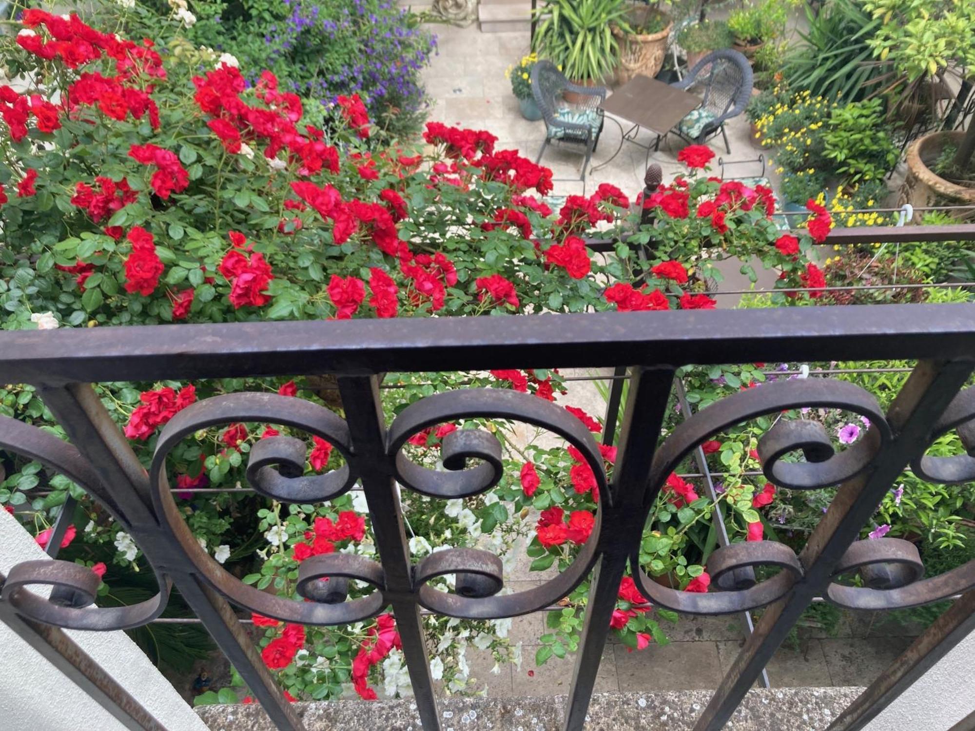 La Maison Des Augustins 4 Stars Spa Et Fitness Avignon Bagian luar foto